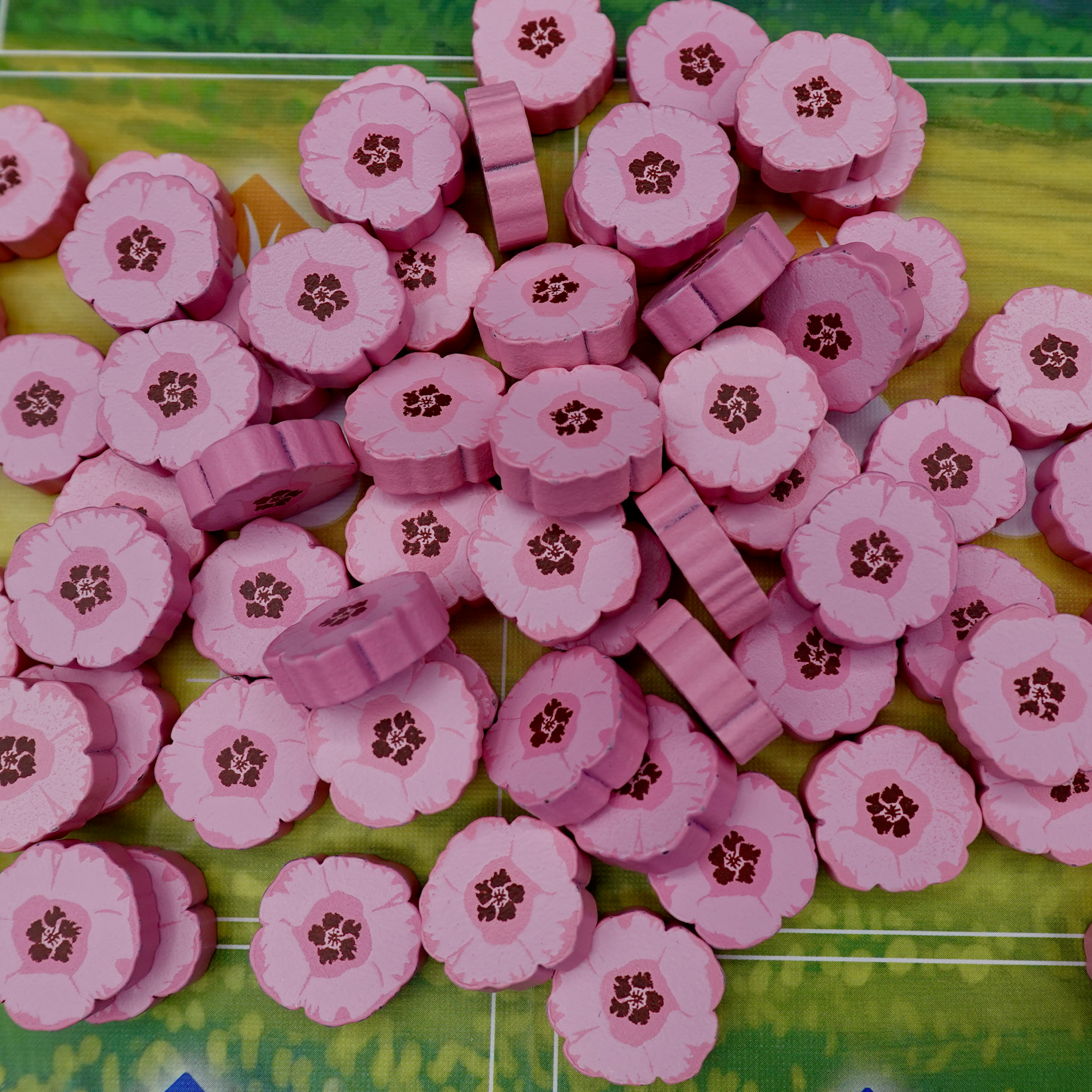 DSC00155