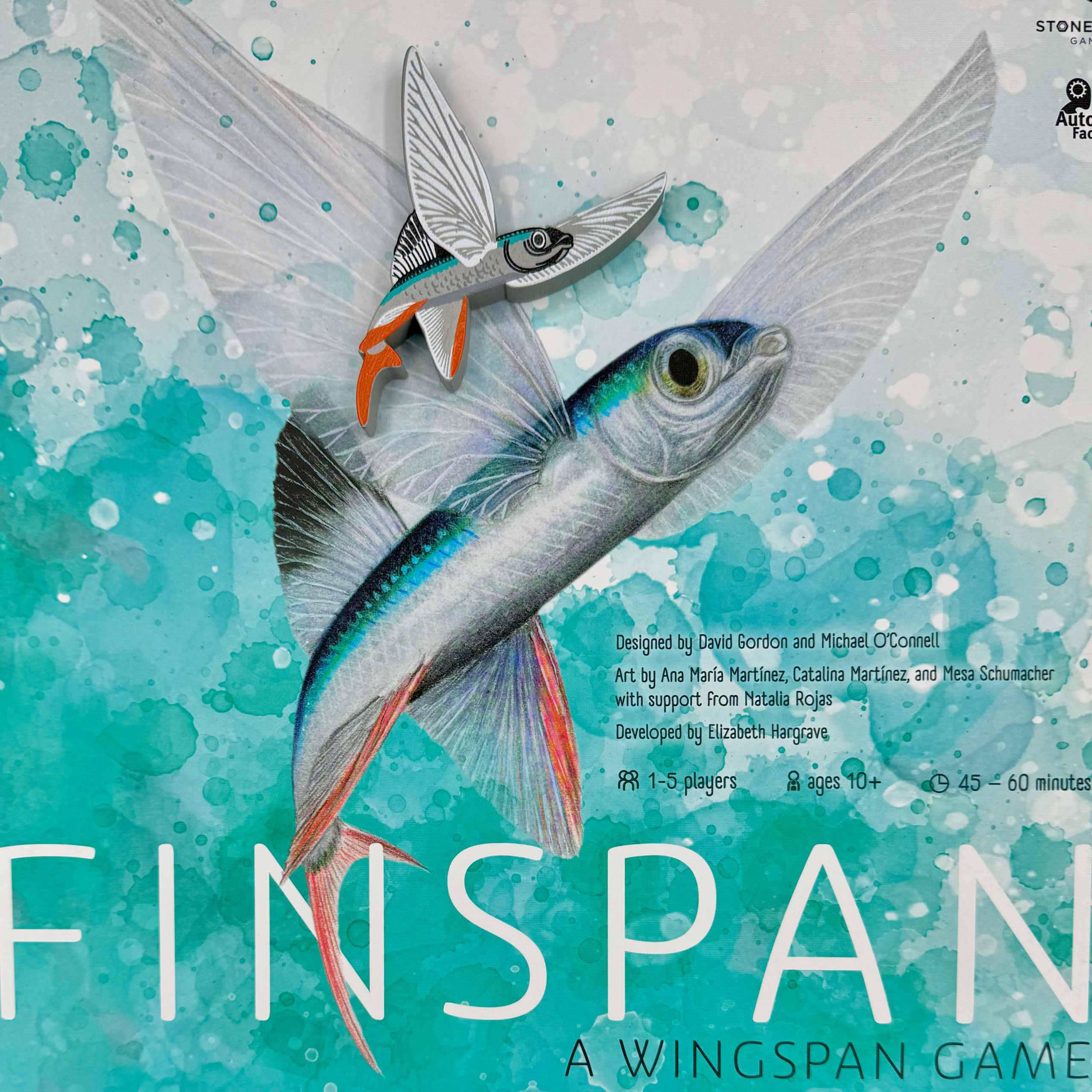 Finspan_1st_player_3